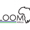 BLOOM Africa (BA)